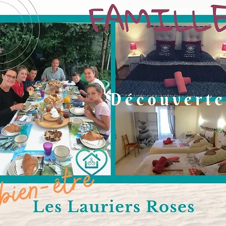 Logis Des Lauriers Roses Guest house *